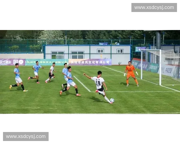 聚焦福建省足球联赛的竞技发展与区域体育融合活力全面提升路径探