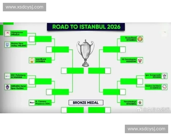 激情碰撞全球舞台世界杯排球赛精彩瞬间与顶尖对决解析