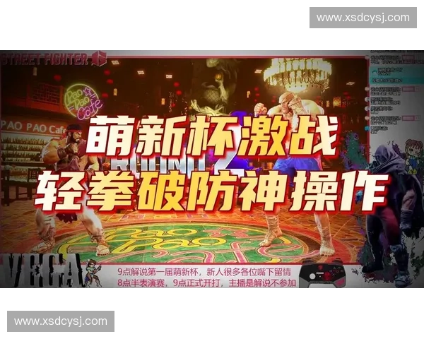 巅峰对决精彩不断综合格斗赛事全程直播解说体验